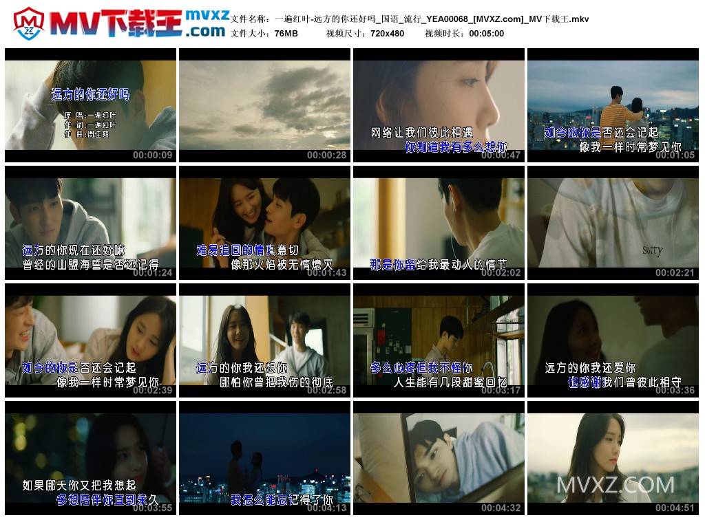 一遍红叶-远方的你还好吗_国语_流行_YEA00068